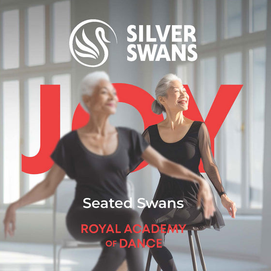 Seated Swans - Chair Based Exercises Music Download